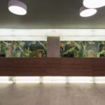 2 Recepción Calypso